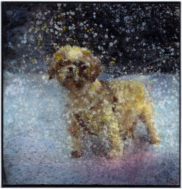Photography titled "Snow dog - 1/7" by Marc Paraskeva, Original Artwork, Analog photography Mounted on Cardboard