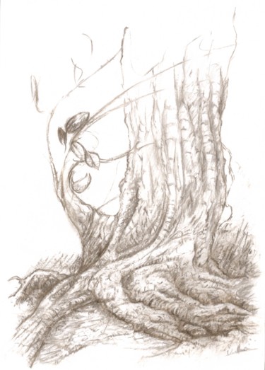 Dessin intitulée "Souche d'arbre.jpg" par Vuillermoz Marc, Œuvre d'art originale