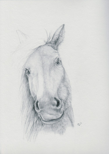 Dessin intitulée "Tête de cheval" par Marc Vuillermoz, Œuvre d'art originale, Graphite
