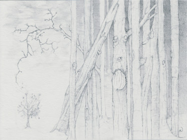 Dessin intitulée "Forêt étrange" par Marc Vuillermoz, Œuvre d'art originale, Graphite