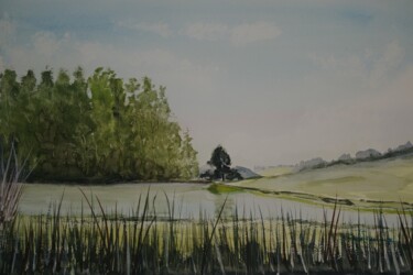 Painting titled "Lago do Eroldo Para…" by Marçal Francisco Bacchin Fernandes, Original Artwork, Watercolor