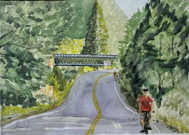 Pintura titulada "Ponte de estrada de…" por Marçal Francisco Bacchin Fernandes, Obra de arte original, Acuarela