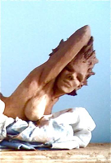 Sculpture titled "freedom" by Marc De Lassus Saint-Geniès, Original Artwork