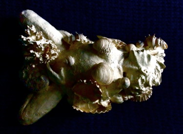 Escultura titulada "corail" por Marc De Lassus Saint-Geniès, Obra de arte original