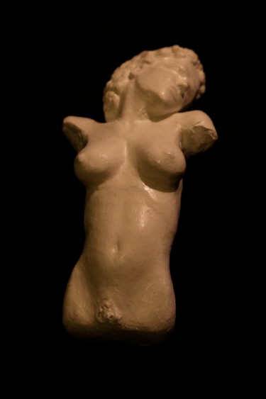 Sculpture titled "pompei" by Marc De Lassus Saint-Geniès, Original Artwork