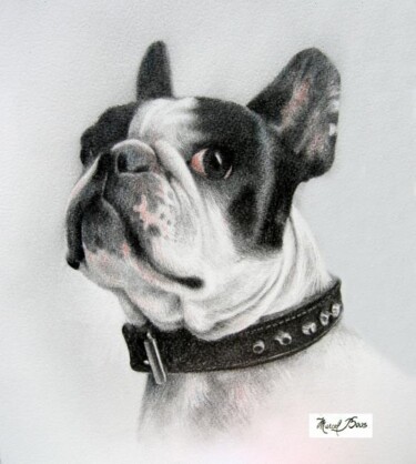 Painting titled "Bulldog Français…" by Marcel Boos, Original Artwork