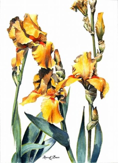 Painting titled "Grand Iris jaune" by Marcel Boos, Original Artwork