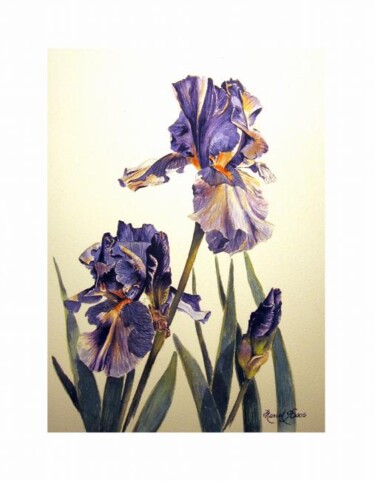 Painting titled "IRIS Violet" by Marcel Boos, Original Artwork