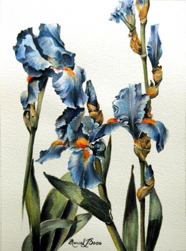 Peinture intitulée "Iris bleus" par Marcel Boos, Œuvre d'art originale