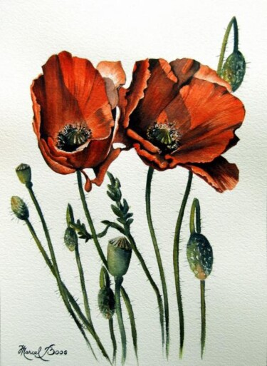 Painting titled "Grand coquelicot" by Marcel Boos, Original Artwork