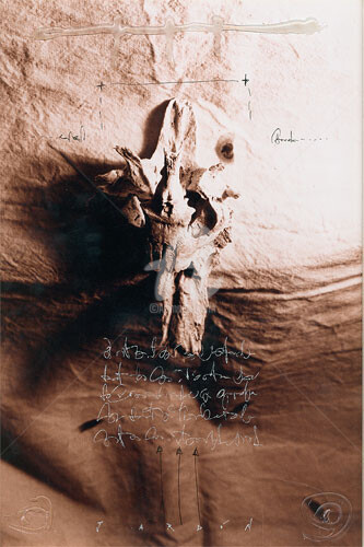 Photography titled "Máscara Ritual" by Marcela Jardón, Original Artwork