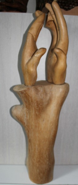 Sculpture titled "les mains martyrisé…" by Marcelhenri De Sa, Original Artwork, Wood