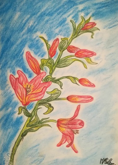 绘画 标题为“Lilium.” 由Marcella Molea, 原创艺术品, 粉彩