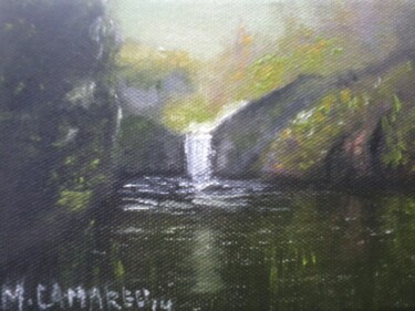 Painting titled "Cachoeira" by Marcelo Camargo, Original Artwork, Oil