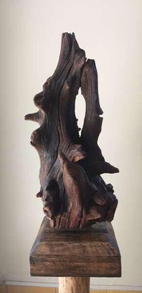 Скульптура под названием "Escultura Raiz de M…" - Márcio França, Подлинное произведение искусства, Дерево