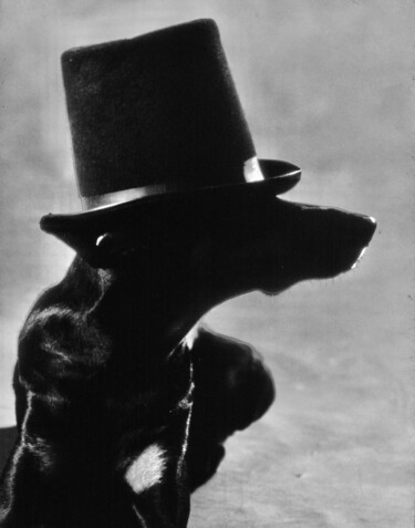 Kaiser Photographie intitulée "Kaiser" par Marco Di Francisca, Œuvre d'art originale, Photographie argentique