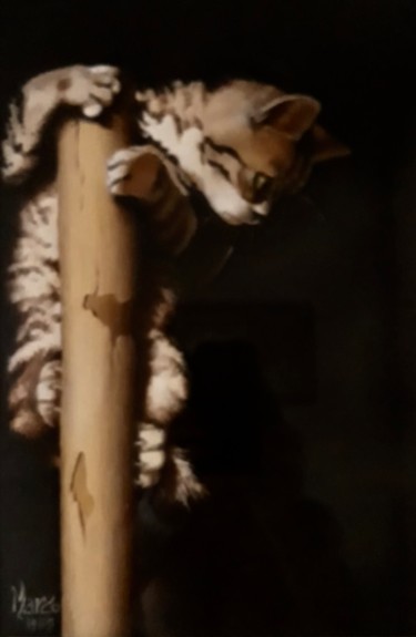 Pittura intitolato "Mio Gatto" da Marco Panicali, Opera d'arte originale, Olio