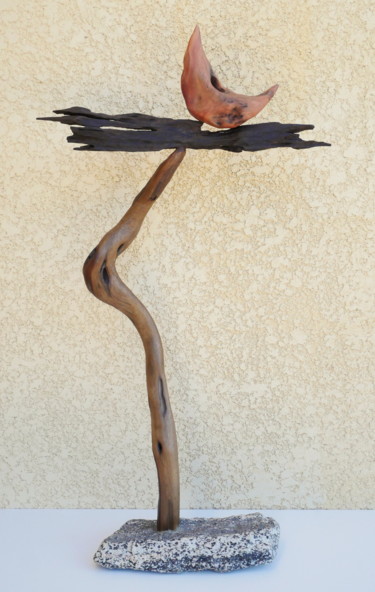 Sculpture intitulée "Les sublunaires nᵒ…" par Nestor, Œuvre d'art originale, Bois