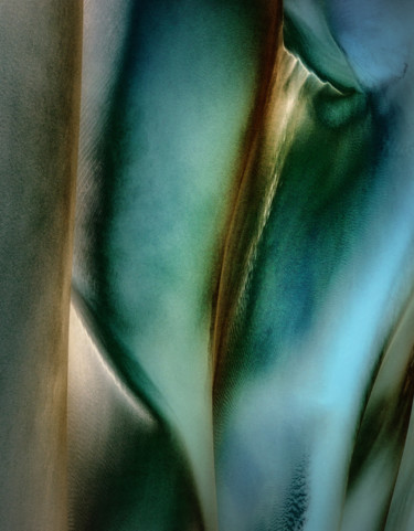 Photography titled "Blue Lily" by Marek Boguszak, Original Artwork, Digital Photography Mounted on Aluminium