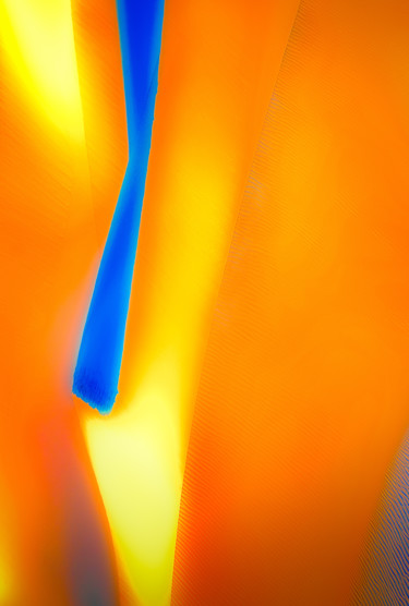 Fotografia zatytułowany „Blazing Sun” autorstwa Marek Boguszak, Oryginalna praca, Fotografia cyfrowa Zamontowany na Pleksigl…