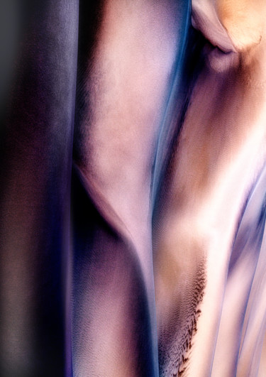 Photographie intitulée "Sunset Lily" par Marek Boguszak, Œuvre d'art originale, Photographie numérique Monté sur Plexiglas