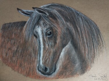 Rysunek zatytułowany „"Koń"” autorstwa Marek Spetel, Oryginalna praca, Pastel Zamontowany na Pleksiglas