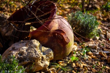 "Jarre" başlıklı Fotoğraf Marevann tarafından, Orijinal sanat, Dijital Fotoğrafçılık