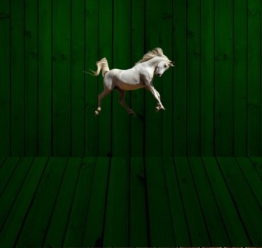 Digital Arts titled "white horse" by Ekaterina Iakshina, Original Artwork, Collages