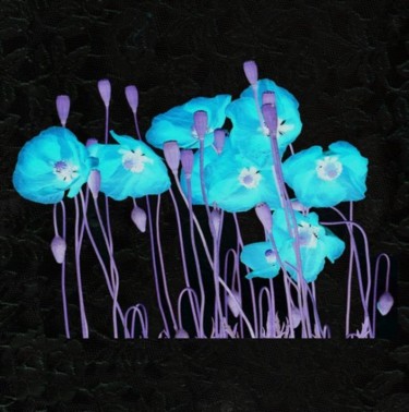 Digital Arts titled "Blue poppies" by Ekaterina Iakshina, Original Artwork, Collages