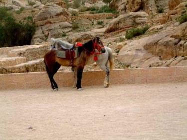 Photographie intitulée "Petra" par Margalit (Malgorzata Krasucka), Œuvre d'art originale