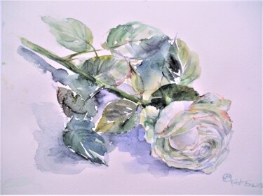 Painting titled "Watercolor- Rose" by Margarita Okołot, Original Artwork, Watercolor