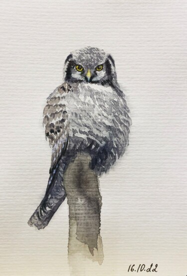 Malerei mit dem Titel "The hawk-owl" von Margarita Gladilina, Original-Kunstwerk, Aquarell