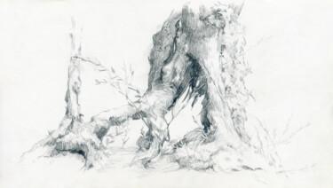 Desenho intitulada "Old olive root" por Margarita Simonova, Obras de arte originais, Grafite