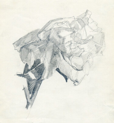 Dessin intitulée "Bloom 2" par Margarita Simonova, Œuvre d'art originale, Crayon