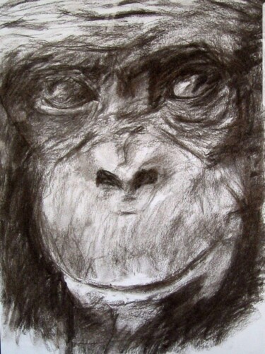 Drawing titled "Le singe" by Margaux Boirel, Original Artwork, Charcoal