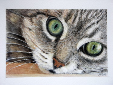 Painting titled "toby.jpg" by Margherita Cavassa, Original Artwork, Watercolor