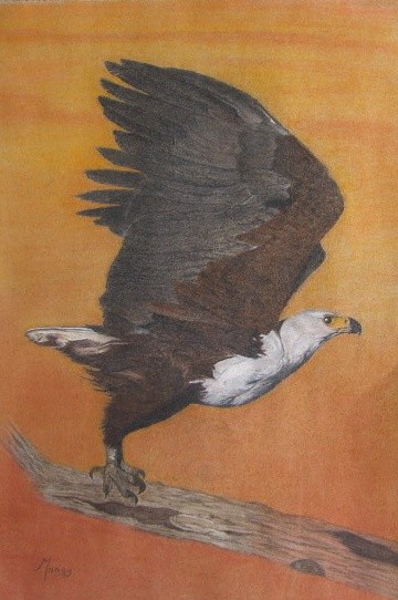 Drawing titled "Evening Flight" by Margy Riley, Original Artwork