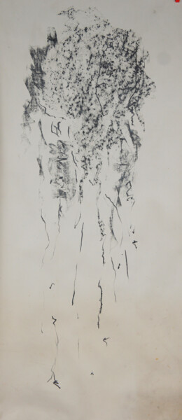 Dessin intitulée "Méduse" par Maria Antónia Santos, Œuvre d'art originale, Graphite
