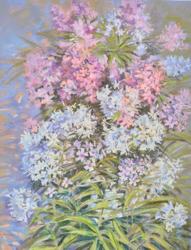 Painting titled "floxes in my garden" by Maria Iakovleva, Original Artwork, Pastel