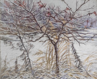 Pittura intitolato "Nature drawing soft…" da Maria Iakovleva, Opera d'arte originale, Pastello