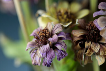 Fotografie mit dem Titel "Dried flowers in va…" von Maria Isabel Gaytan, Original-Kunstwerk, Digitale Fotografie
