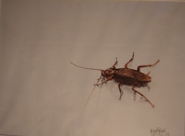 Ζωγραφική με τίτλο "Cucaracha" από María José Ñíguez, Αυθεντικά έργα τέχνης, Μαρκαδόρος