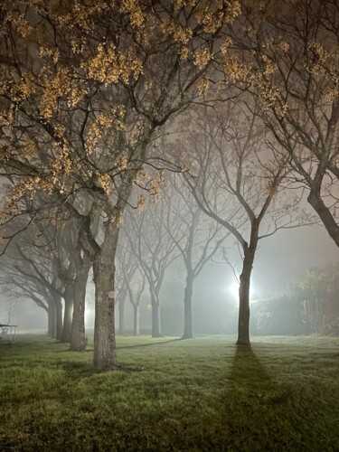 Fotografía titulada "Niebla" por Maria Lucrecia Serrat, Obra de arte original, Fotografía digital