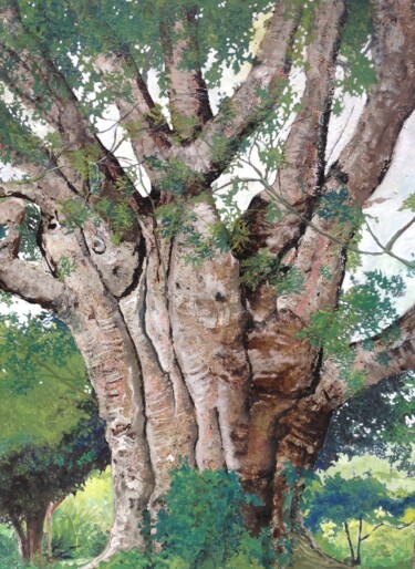Pintura titulada "Árbol en la selva d…" por Maria Rosa Astorga, Obra de arte original, Oleo