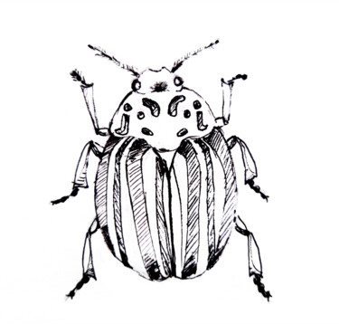 Картина под названием "Colorado beetle ins…" - Maria Terskikh, Подлинное произведение искусства, Гелевая ручка