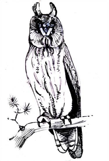 Pittura intitolato "Owl bird (owl) sits…" da Maria Terskikh, Opera d'arte originale, Penna gel