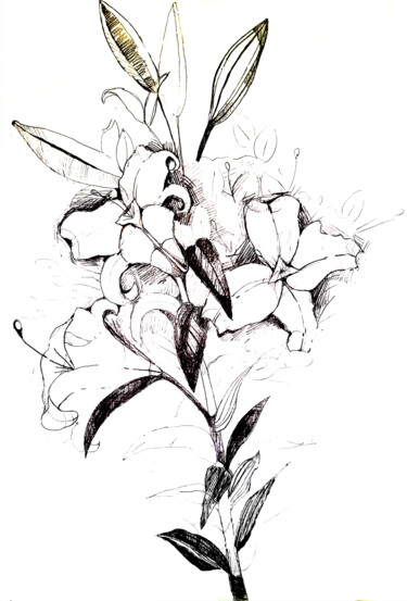Painting titled "Bouquet of lily flo…" by Maria Terskikh, Original Artwork, Pencil