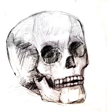 Painting titled "Human skull black a…" by Maria Terskikh, Original Artwork, Pencil