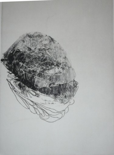 Printmaking titled "carapace.jpg" by María Chillón, Original Artwork