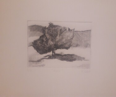 Printmaking titled "La quercia. P.d.a." by Mariacristina Valletti, Original Artwork, Engraving Mounted on Other rigid panel